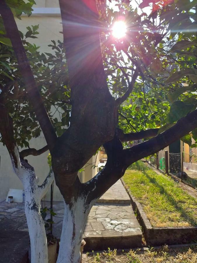 Villa Rosa Garden House Corfu  Luaran gambar