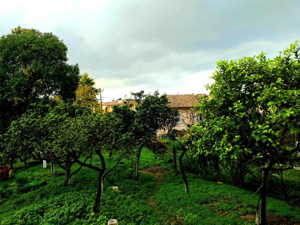 Villa Rosa Garden House Corfu  Luaran gambar